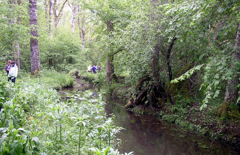 2009 Marais de la Voise 14